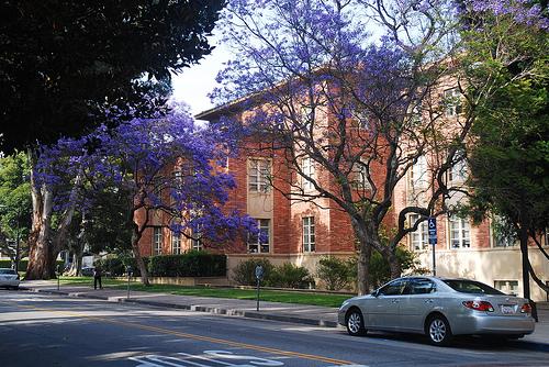 UCLA Murphy Hall